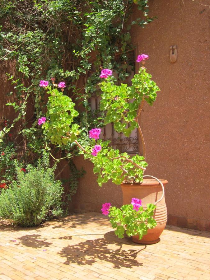 Dar Tasmayoun Ait Ourir Ngoại thất bức ảnh